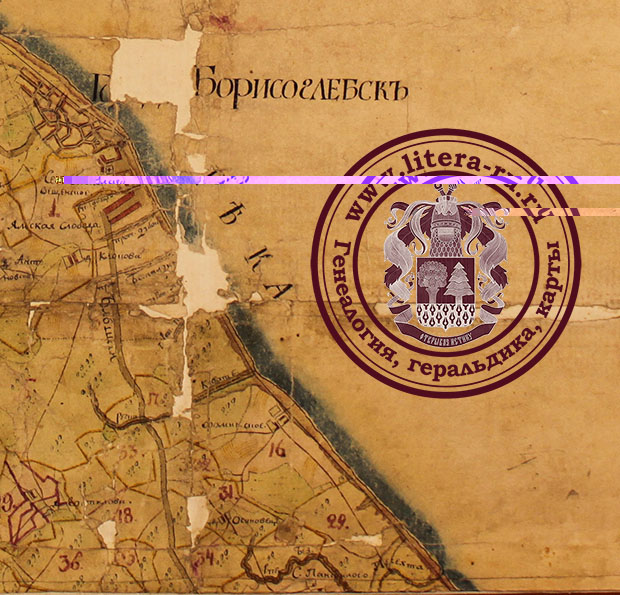 образец одноверстки межевания Борисоглебского уезда 1см=420м