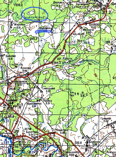 местоположение на современной карте деревни Михалевой