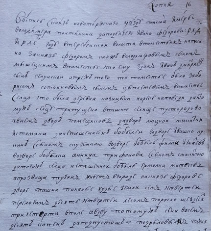 образец найденной переписи, копия на языке 18 века